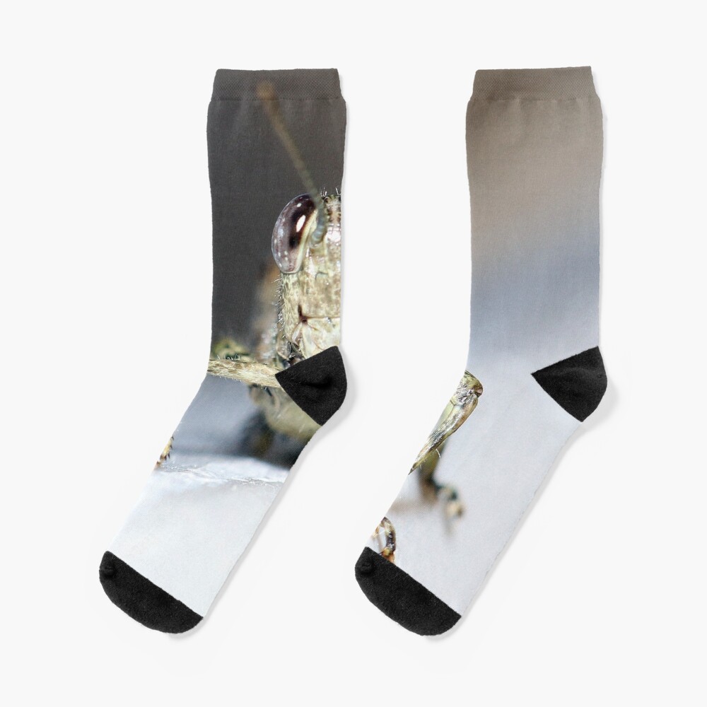 Grasshopper Face Socks