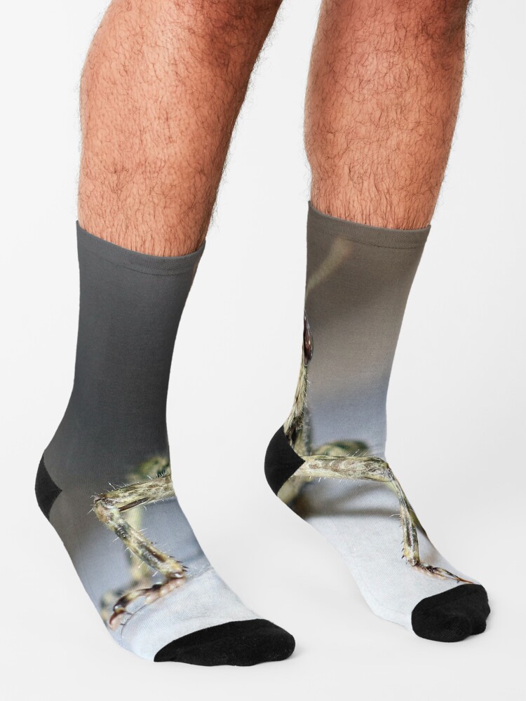 Alternate view of Grasshopper Face Socks