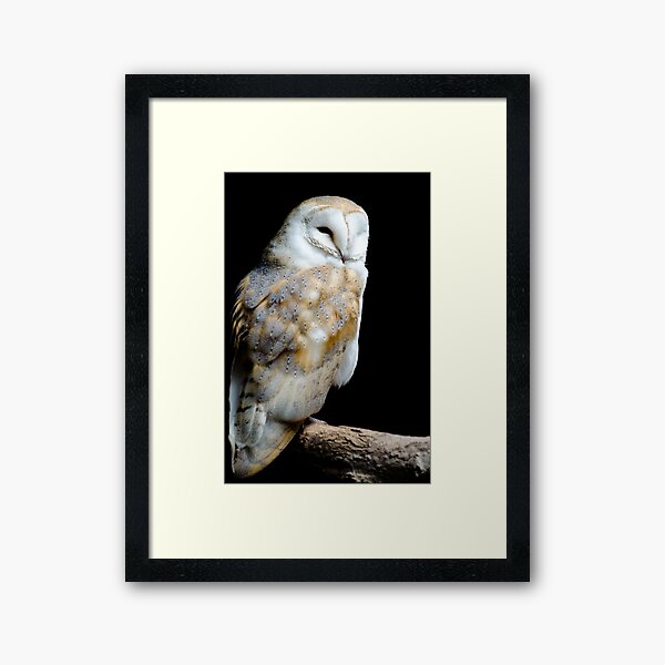 Patents by Nature | Barn Owl Framed Art Print