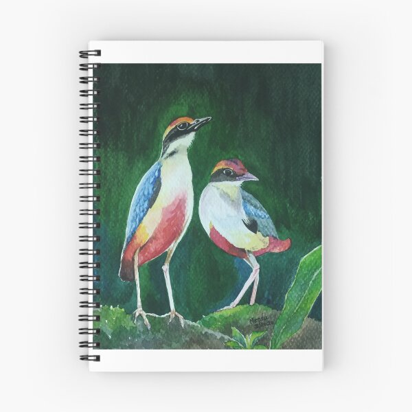 Item preview, Fairy Pitta designed and sold by madhuneeta.
