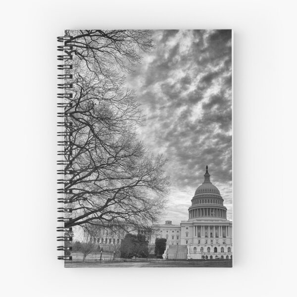 Item preview, Capitol Hill designed and sold by Lynn Armstrong.