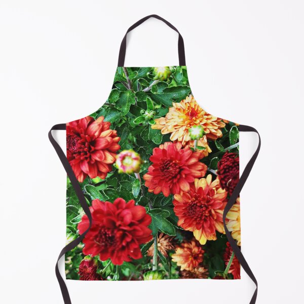 Item preview, miniature mums back yard designed and sold by dfwilliamson.