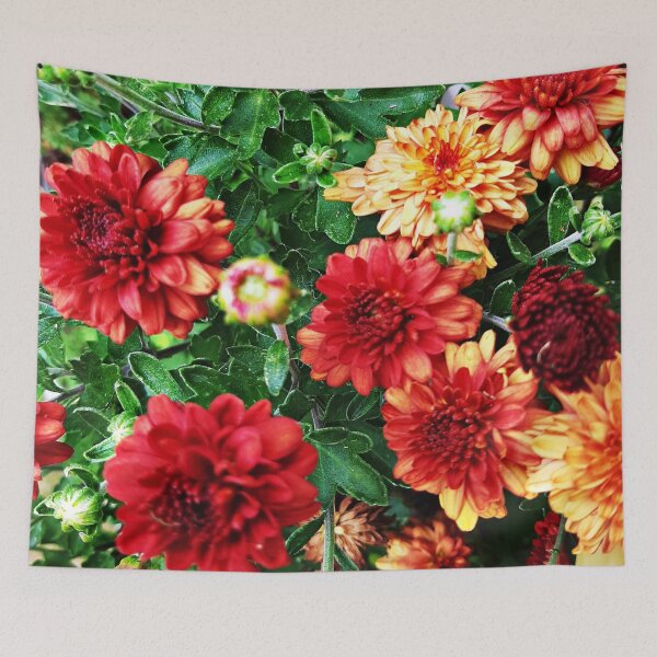 Item preview, miniature mums back yard designed and sold by dfwilliamson.