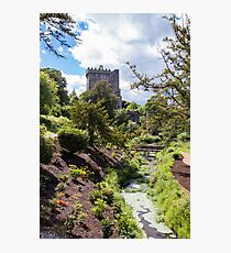 Blarney Castle Photographic Print