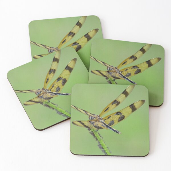 Item preview, Tiger Disguised Dragonfly designed and sold by RewskiPhotos.