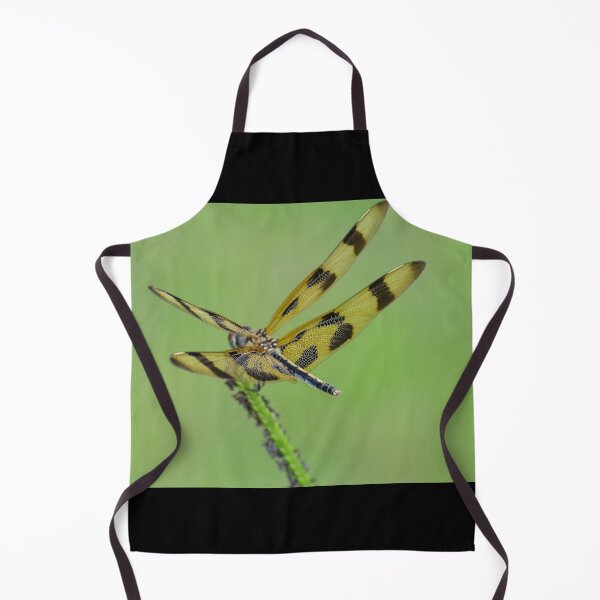 Item preview, Tiger Disguised Dragonfly designed and sold by RewskiPhotos.