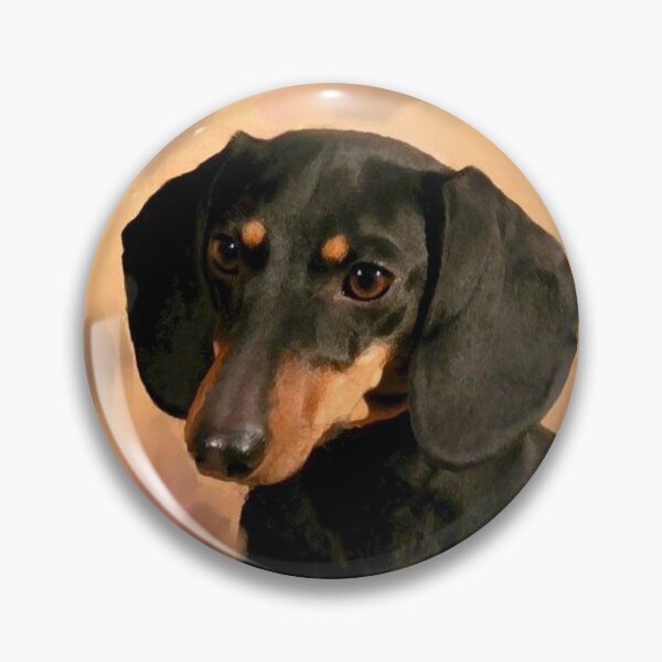 Item preview, Dachshund Dog Photo Portrait designed and sold by Coolstuff4you71.