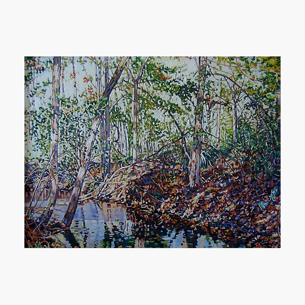 AUTUMNSPELL Photographic Print