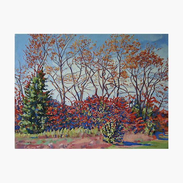 AUTUMN'S LAST DANCE Photographic Print
