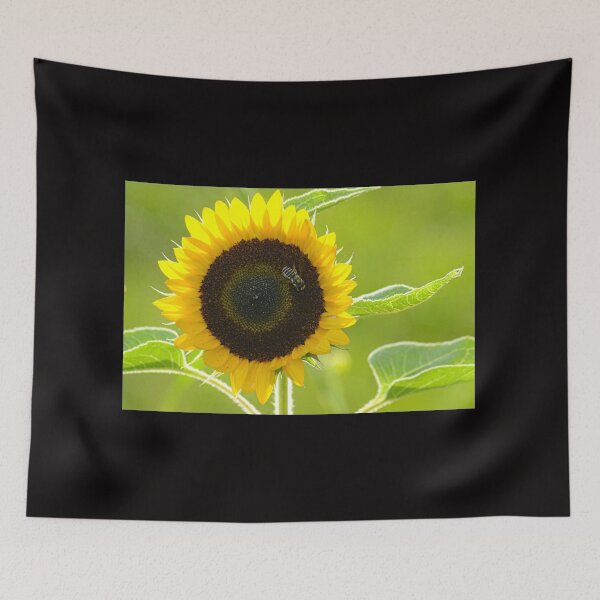 Item preview, Beeing in the Sun designed and sold by RewskiPhotos.