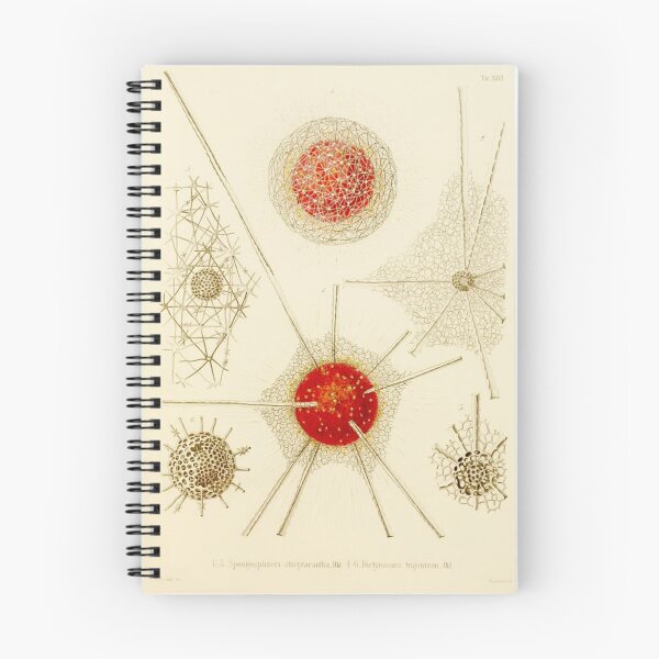Item preview, HD Radiolaria (1862) by Ernst Haeckels  (2 of 5 designs) designed and sold by MINDTHECHERRY.