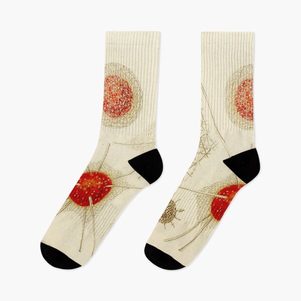 Item preview, HD Radiolaria (1862) by Ernst Haeckels  (2 of 5 designs) designed and sold by MINDTHECHERRY.
