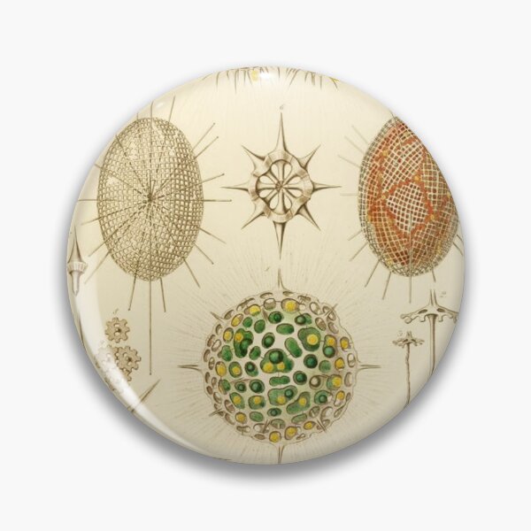 Item preview, HD Radiolaria (1862) by Ernst Haeckels  (4 of 5 designs) designed and sold by MINDTHECHERRY.