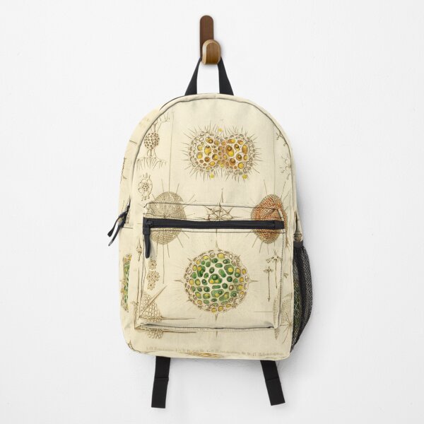 Item preview, HD Radiolaria (1862) by Ernst Haeckels (4 of 5 designs) designed and sold by MINDTHECHERRY.