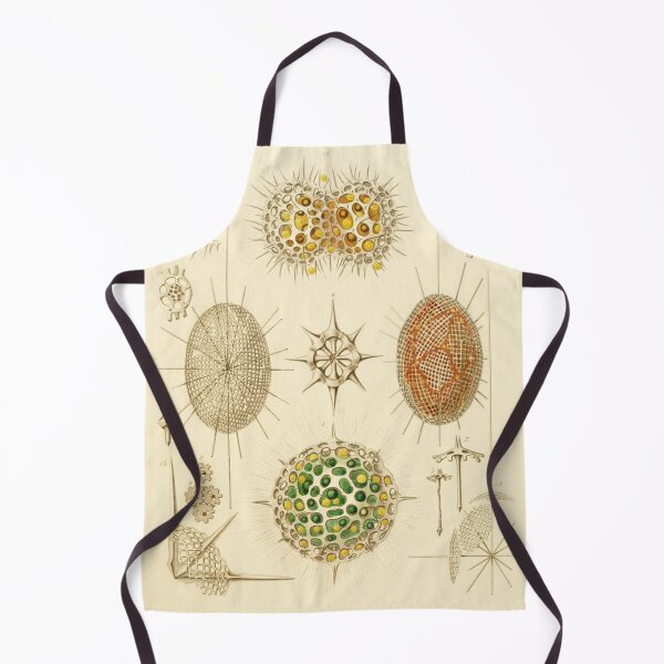 Item preview, HD Radiolaria (1862) by Ernst Haeckels (4 of 5 designs) designed and sold by MINDTHECHERRY.