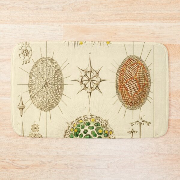 Item preview, HD Radiolaria (1862) by Ernst Haeckels  (4 of 5 designs) designed and sold by MINDTHECHERRY.