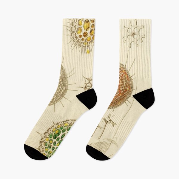 Item preview, HD Radiolaria (1862) by Ernst Haeckels  (4 of 5 designs) designed and sold by MINDTHECHERRY.