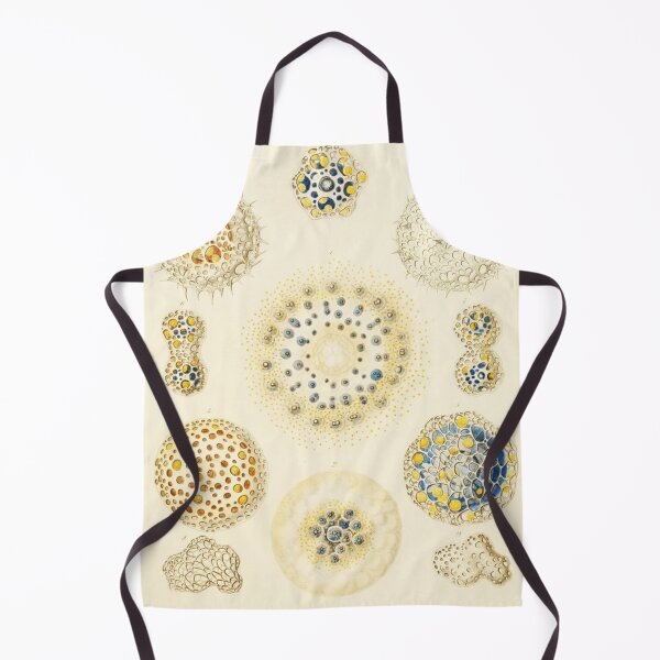 Item preview, HD Radiolaria (1862) by Ernst Haeckels (1 of 5 designs) designed and sold by MINDTHECHERRY.