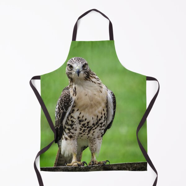 Item preview, Beautiful Red Tail Hawk On A Railing designed and sold by Shelly Gunderson.