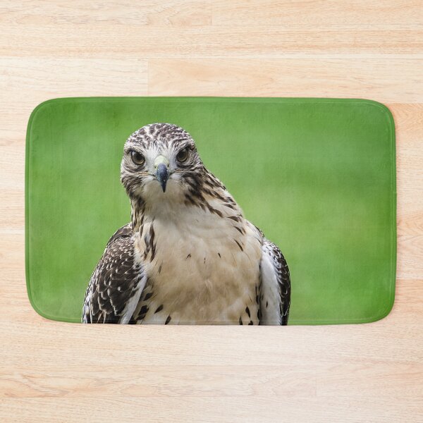 Item preview, Beautiful Red Tail Hawk On A Railing designed and sold by Shelly Gunderson.
