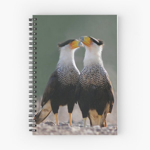 Item preview, Two Crested Caracaras - Birder's T-Shirts and Totes designed and sold by TheCurators.