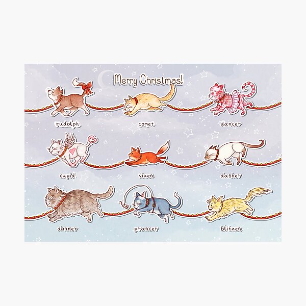 Santa's Little (Kitten) Helpers Photographic Print
