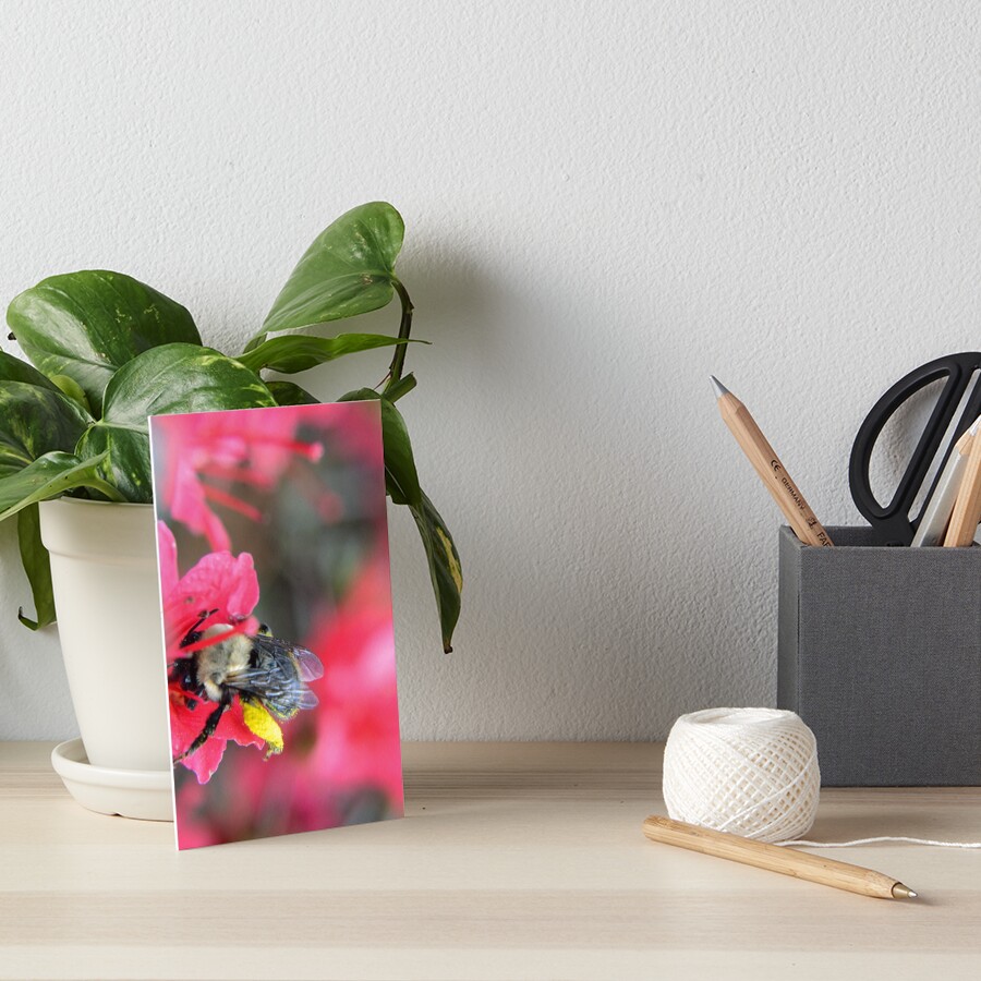 Item preview, Art Board Print designed and sold by RewskiPhotos.