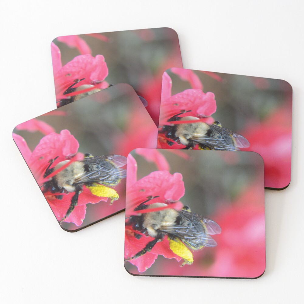 Item preview, Coasters (Set of 4) designed and sold by RewskiPhotos.
