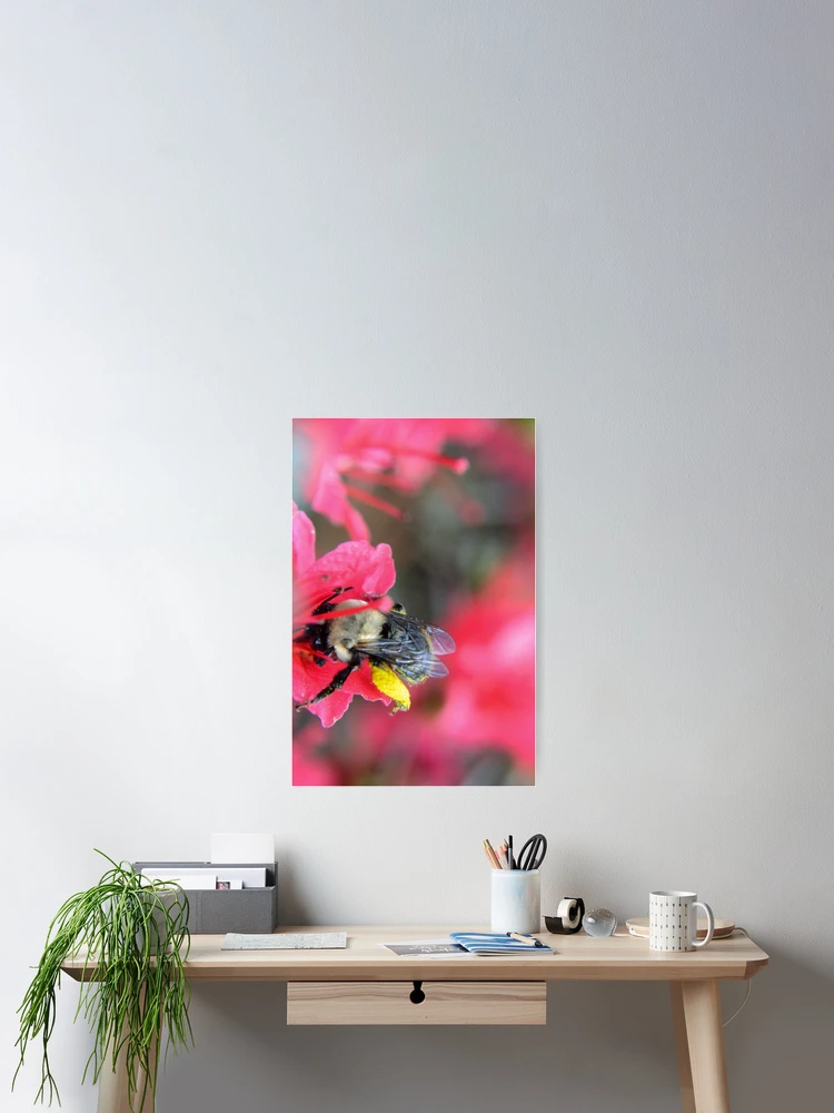 Thumbnail 2 of 3, Poster, Pink Pollenation designed and sold by RewskiPhotos.