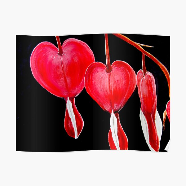 Poster Blutendes Herz Redbubble