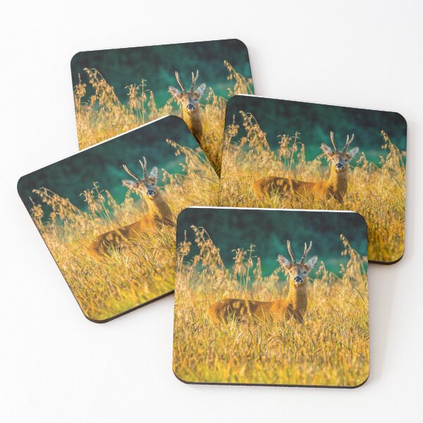 Item preview, Roe Buck in the golden morning light designed and sold by Dalyndigital Photography.