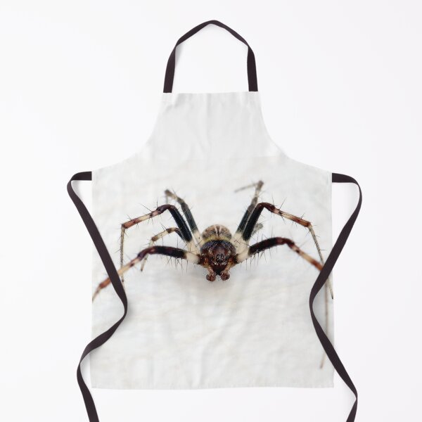 Item preview, Small spider - BIG BUG-FACE! designed and sold by mark-bugs-org.