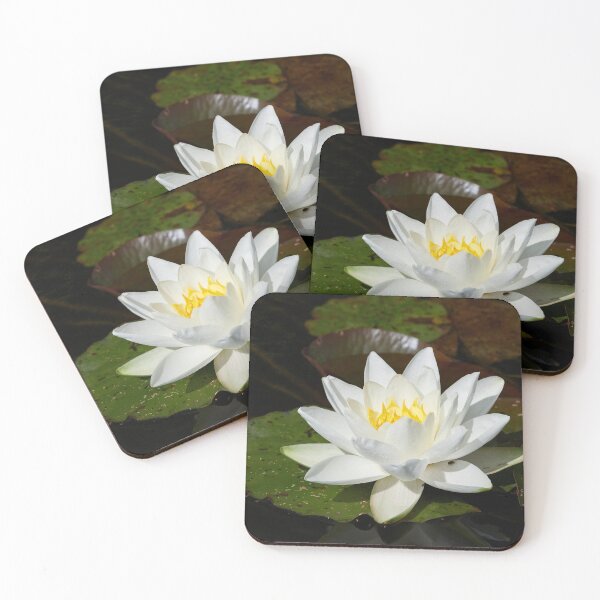 Item preview, Water lily series number 17 The Yellow flames designed and sold by Jouko Lehto Photography.