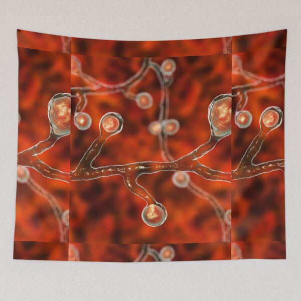 Item preview, FUNGI DERM BLASTOMYCES MICROSCOPIC FUNGUS PHOTO IMAGE...Micro designed and sold by Hippiesole.