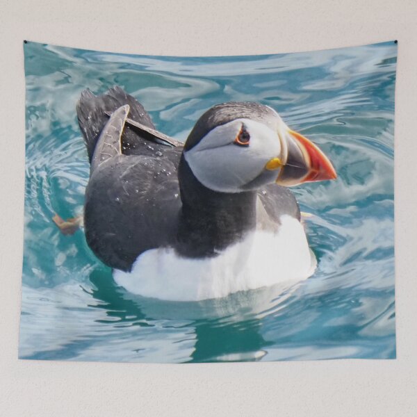 Item preview, A beautiful puffin at Cantick Head Lighthouse on the beautiful Orkney island of Hoy in Scotland designed and sold by Alan Mackinnon.