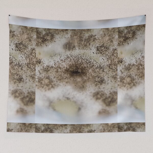 Item preview, MOLD (ASPERGILLUS) UNDER STEREO MICROSCOPE IMAGE PHOTO...Micro designed and sold by Hippiesole.