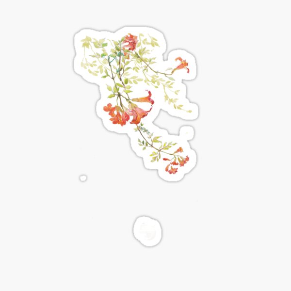 Vista previa del artículo con la obra «Pintura de acuarela, antigüedad hermosa ilustración acuarela, pintura de flores rojas», diseñado y vendido por Halalolo.