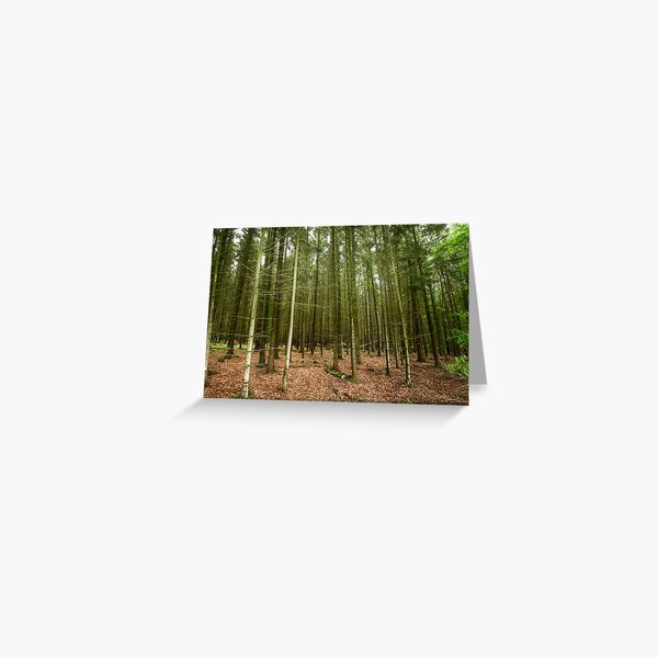 Trees Greeting Card