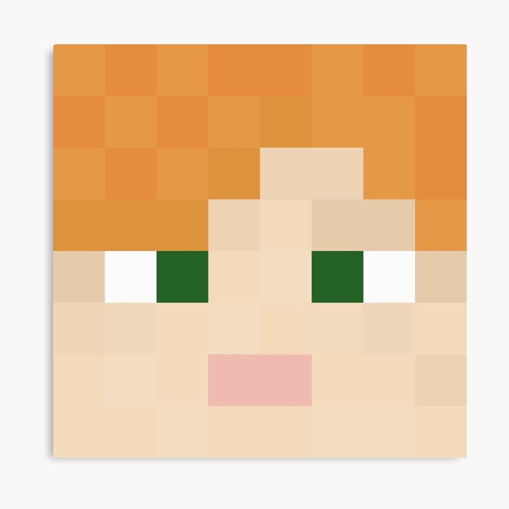 manface - Minecraft skin (64x64, Alex)