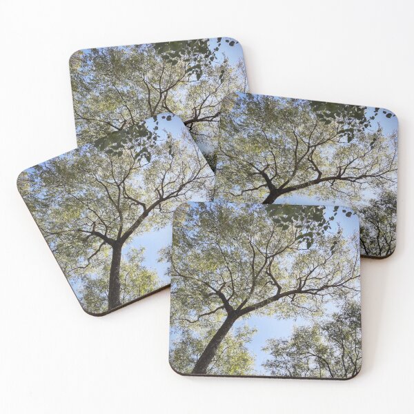 Item preview, Tree designed and sold by Sérgio Rodrigues Garcez Filho.
