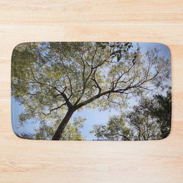 Item preview, Tree designed and sold by Sérgio Rodrigues Garcez Filho.
