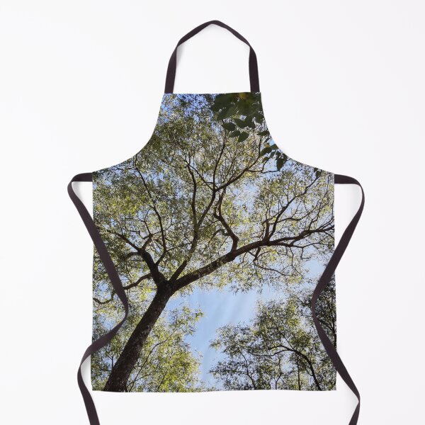 Item preview, Tree designed and sold by Sérgio Rodrigues Garcez Filho.