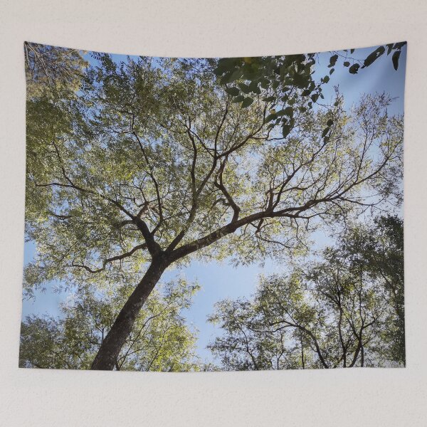 Item preview, Tree designed and sold by Sérgio Rodrigues Garcez Filho.