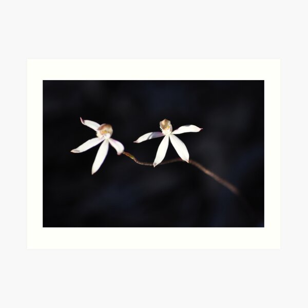 The Dancers Art Print