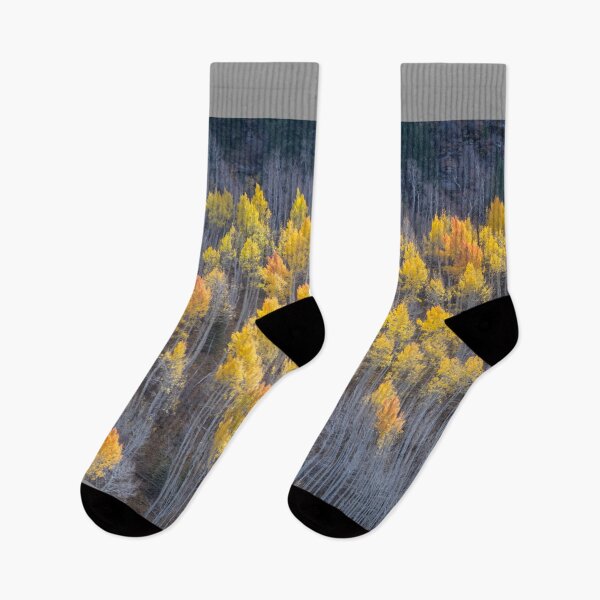 Item preview, Autumn in Utah's Unita National Forest designed and sold by TheCurators.