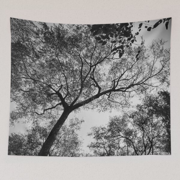 Item preview, Tree designed and sold by Sérgio Rodrigues Garcez Filho.