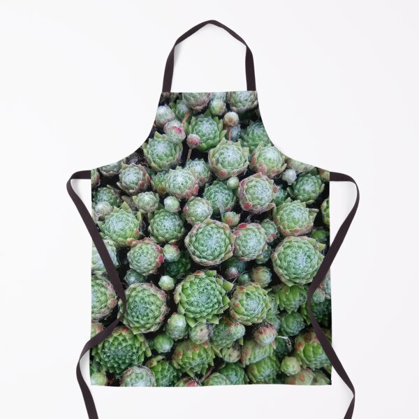 Item preview, Cobweb houseleek plant designed and sold by ClumsyCat.