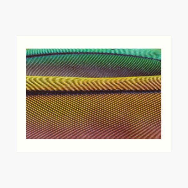 Feather Dunes Art Print