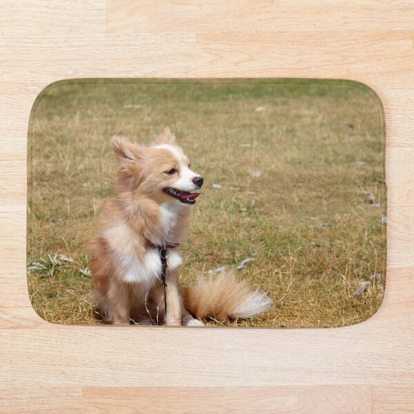 Item preview, Piper, the Morkie-Pomeranian Puppy Under The Sun designed and sold by SeguinM.