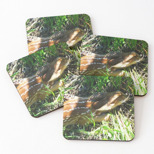 Item preview, Fawn designed and sold by SariePhotograph.